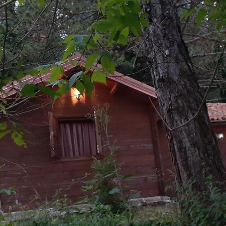 Iliria Tiny House Llogora Orikum Eksteriør billede