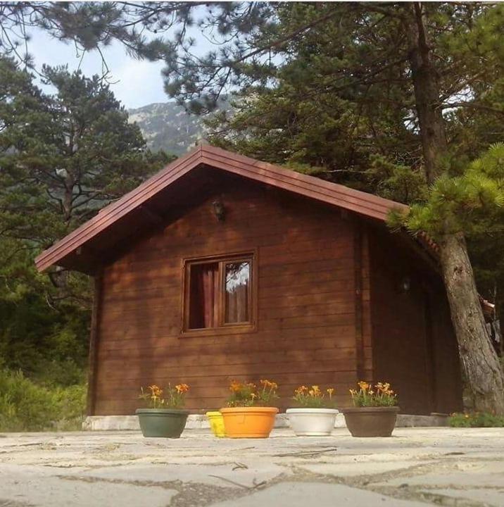 Iliria Tiny House Llogora Orikum Eksteriør billede