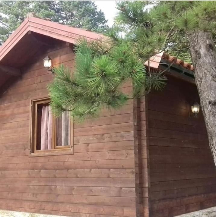 Iliria Tiny House Llogora Orikum Eksteriør billede