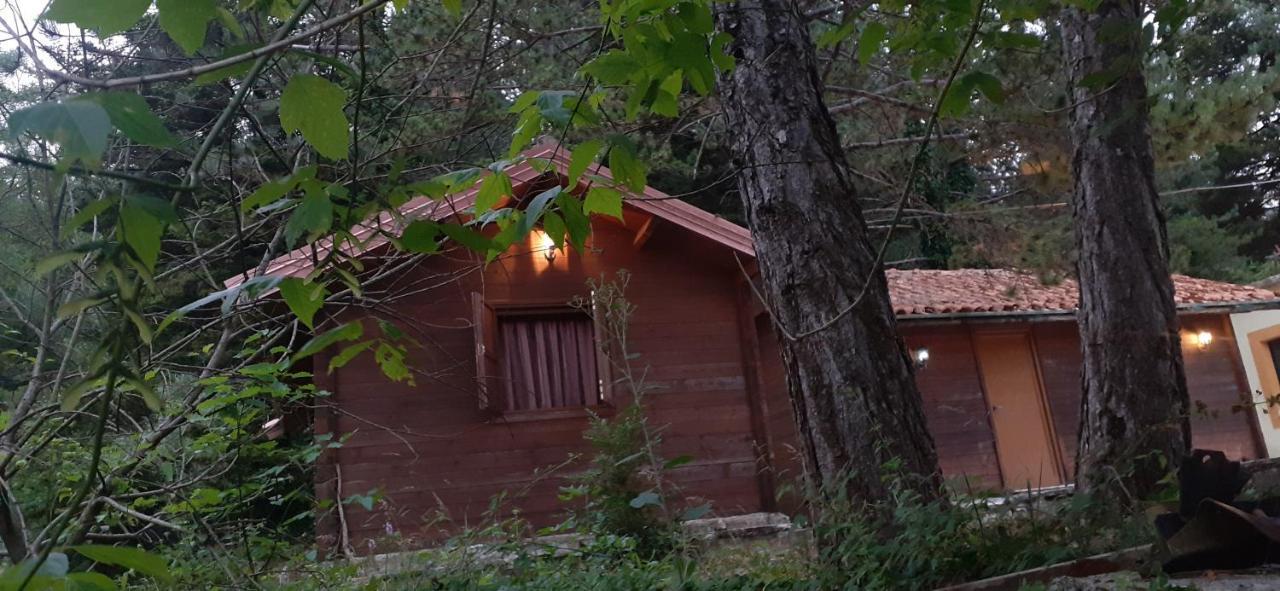 Iliria Tiny House Llogora Orikum Eksteriør billede